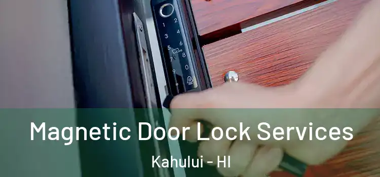 Magnetic Door Lock Services Kahului - HI